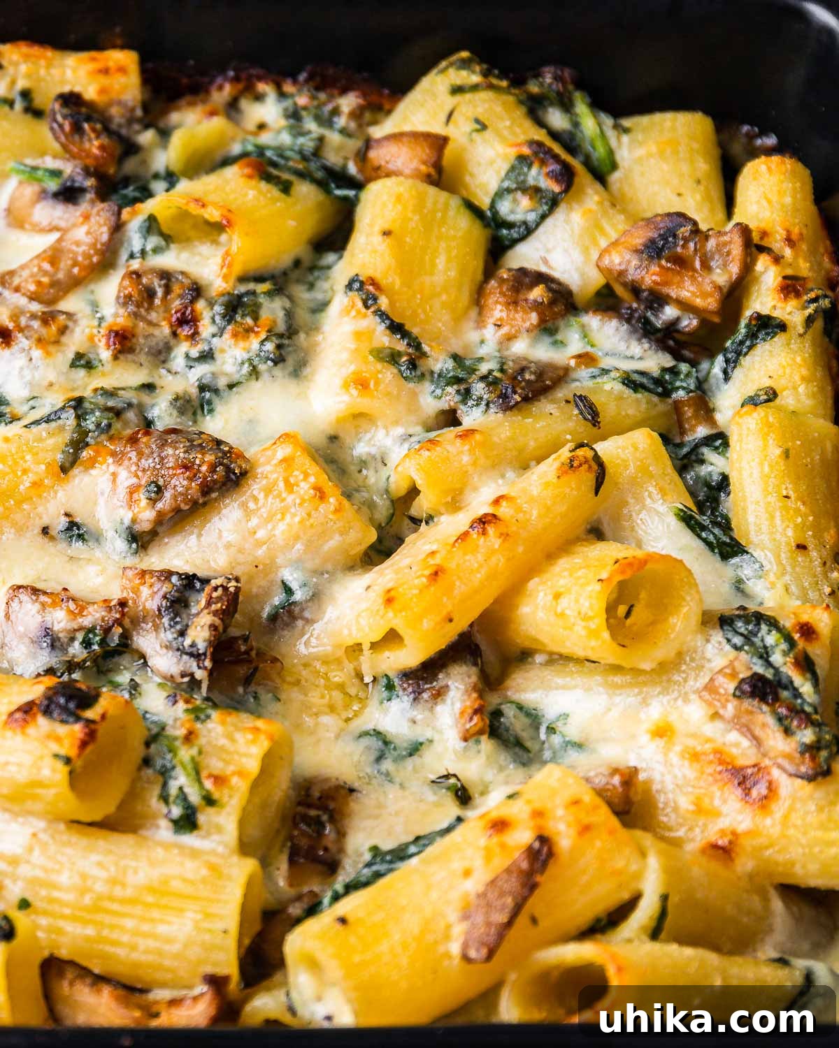 Golden Mushroom Pasta Casserole 2 Baked rigatoni with spinach and mushrooms in baking dish.