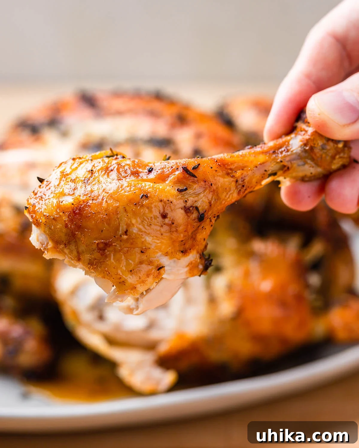 Golden Garlic Butter Roast Chicken 9 Roast chicken leg held in hands, showing crispy skin and succulent meat.
