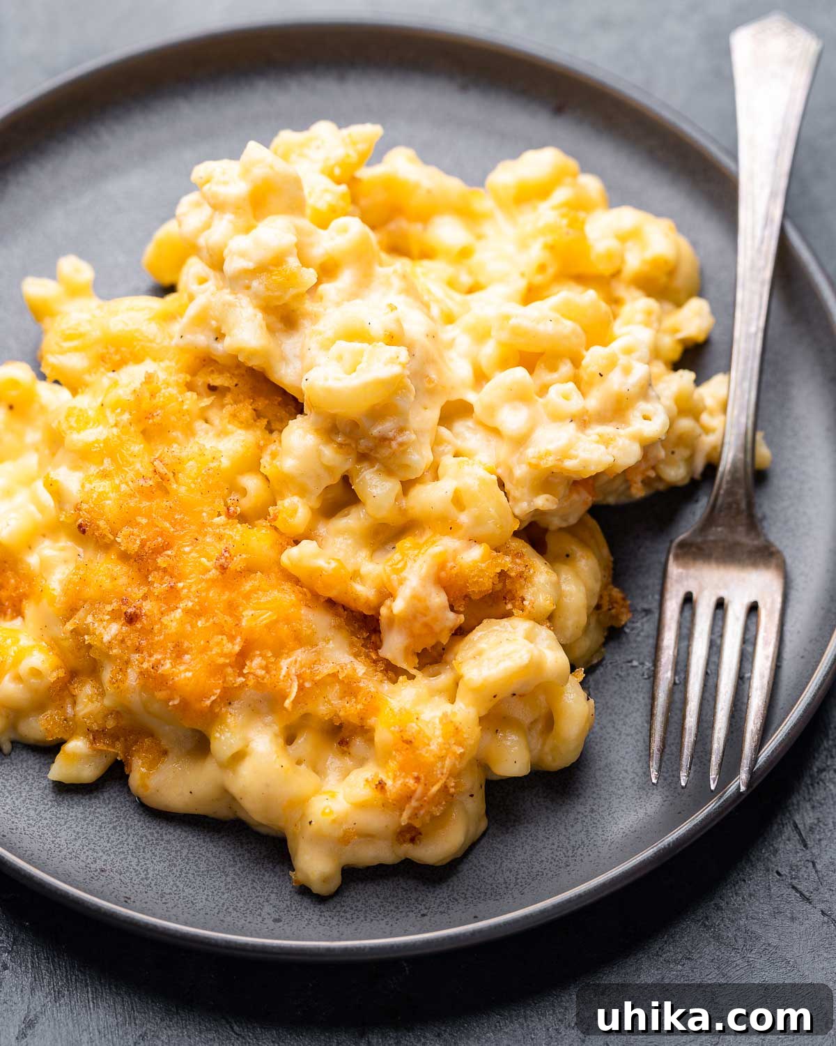 Golden Crusted Creamy Macaroni Bake 2 Baked macaroni and cheese in grey plate with fork, showcasing its creamy texture and golden-brown topping.