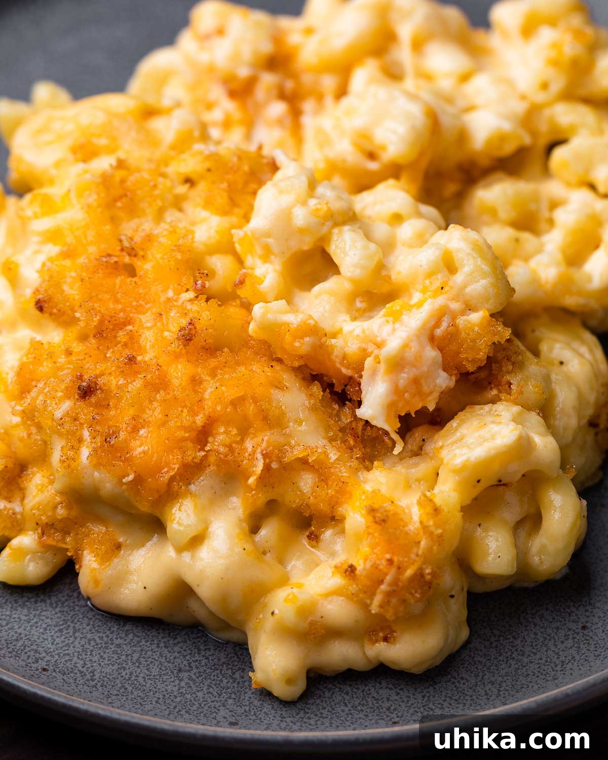 Golden Crusted Creamy Macaroni Bake 5 Close up of crispy breadcrumb topping on creamy baked macaroni and cheese in a grey plate, ready to be served.