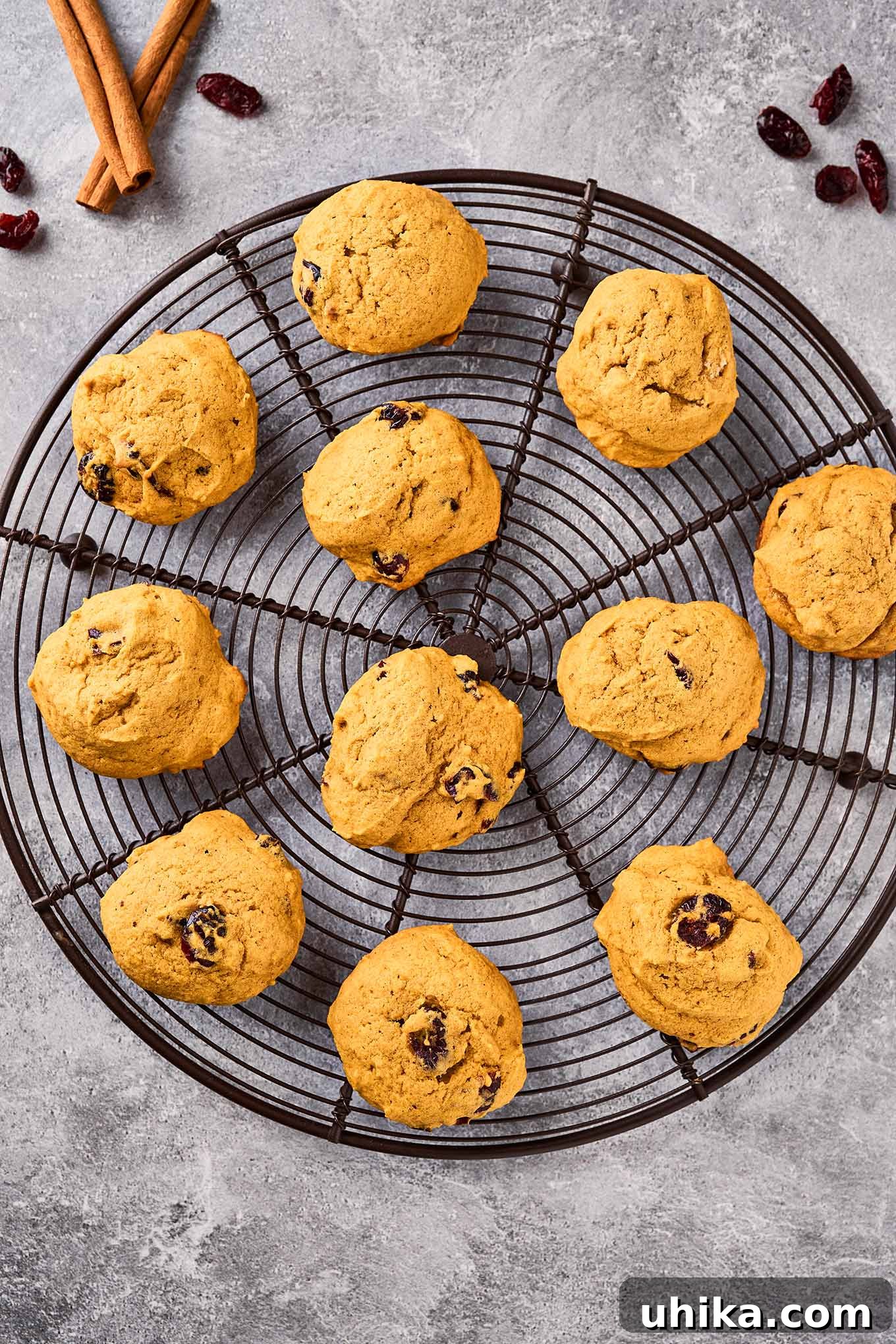 Spiced Pumpkin Cranberry Cookie Delights 6 Freshly baked pumpkin cranberry cookies on a round cooling rack surrounded by cinnamon sticks and dried cranberries.