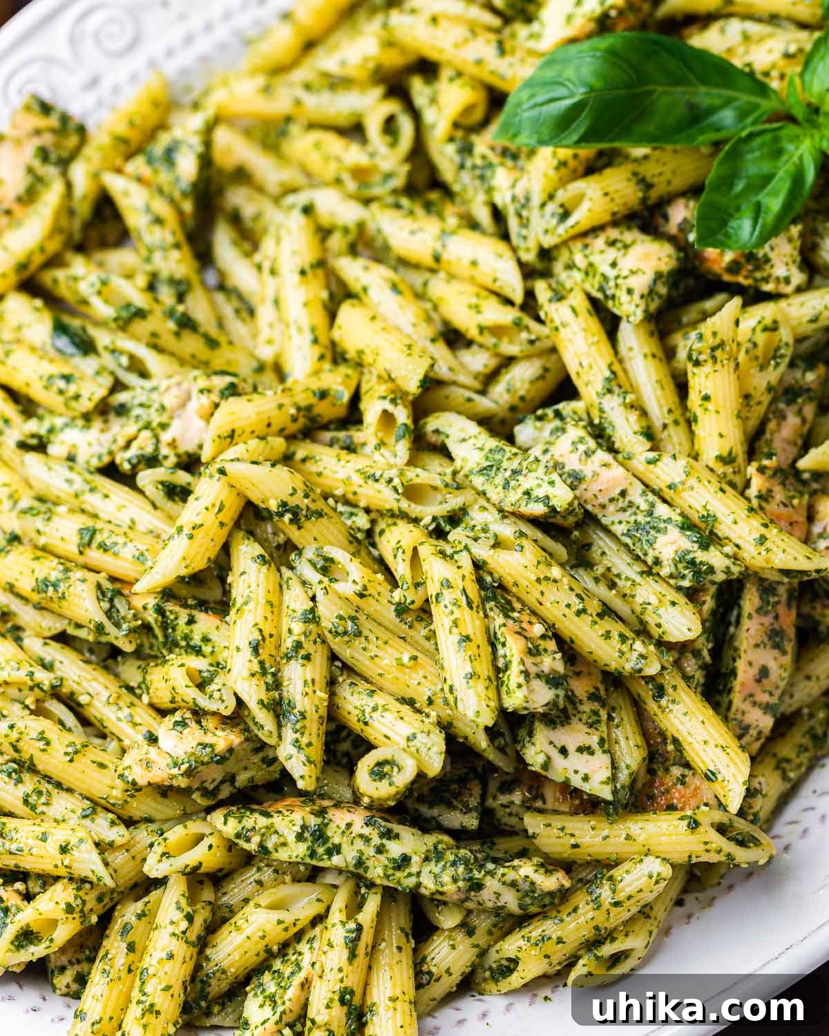 Basil Pesto Chicken Pasta 9 Chicken pesto penne salad in white platter. A close-up shot of chicken pesto penne salad in a elegant white platter, garnished with basil leaves, ready to be served at a party.