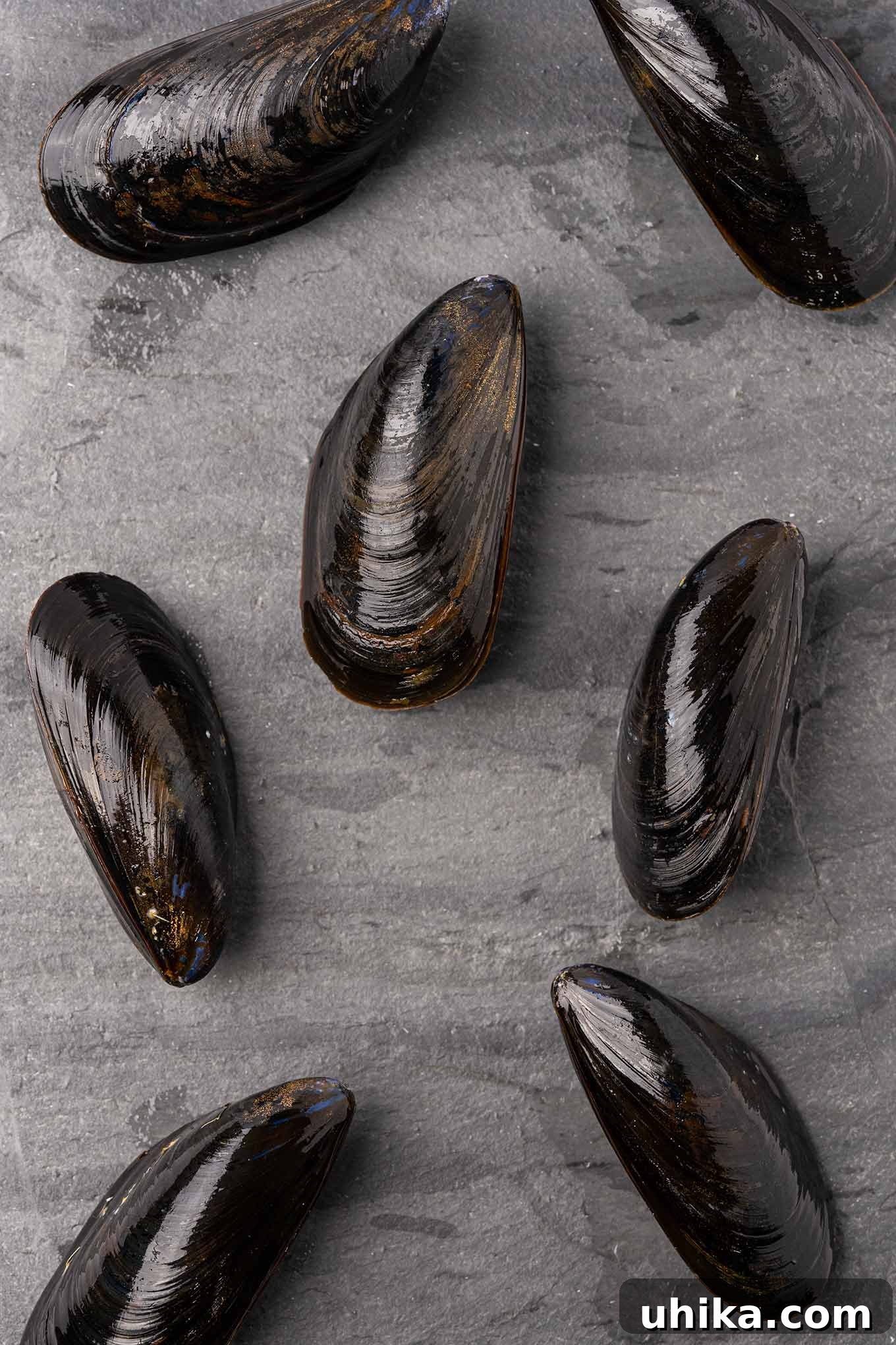 Italian Riviera Mussels 3 Fresh, uncooked mussels arranged on a slate board,.
