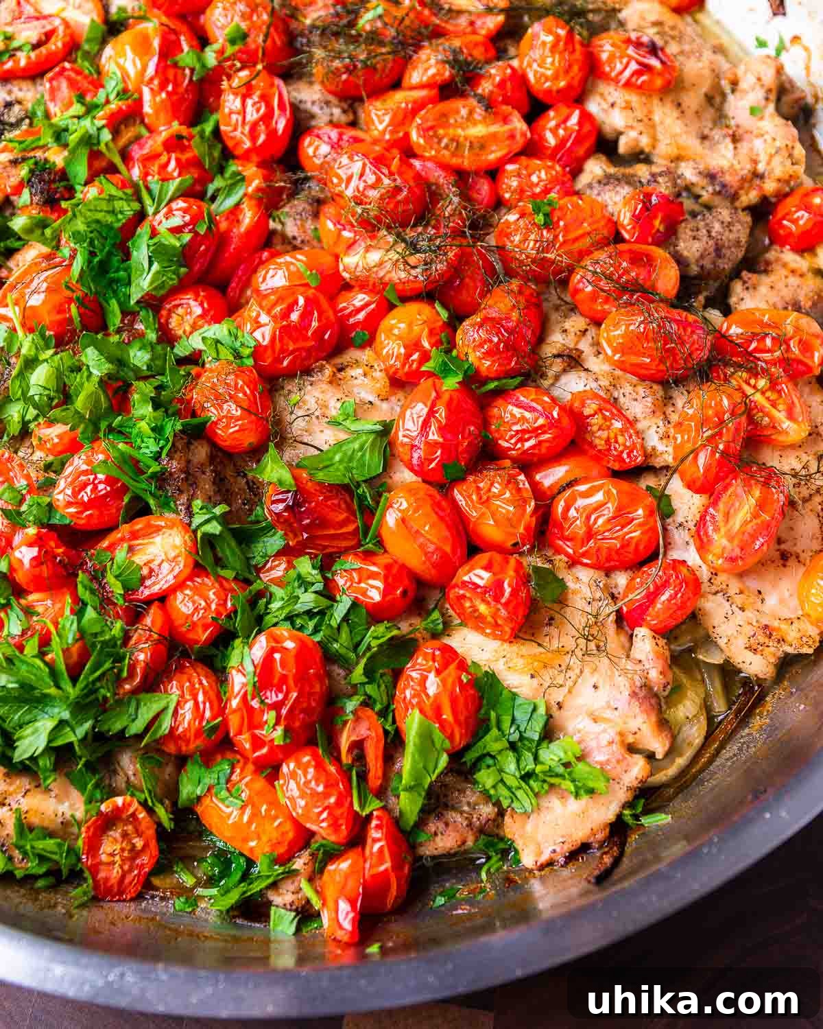 Golden Chicken Thighs with Roasted Fennel and Burst Tomatoes 2 One-pan chicken thighs with fennel and cherry tomatoes, beautifully braised and ready to serve.