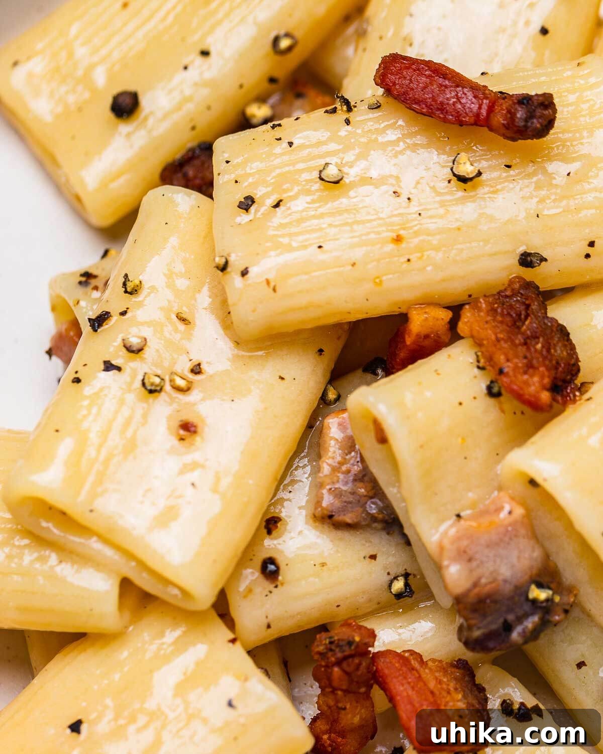 Roman Rigatoni with Cured Pork Cheek and Pecorino Cheese 8 Closeup shot of rigatoni alla gricia in a white plate, ready to be served.