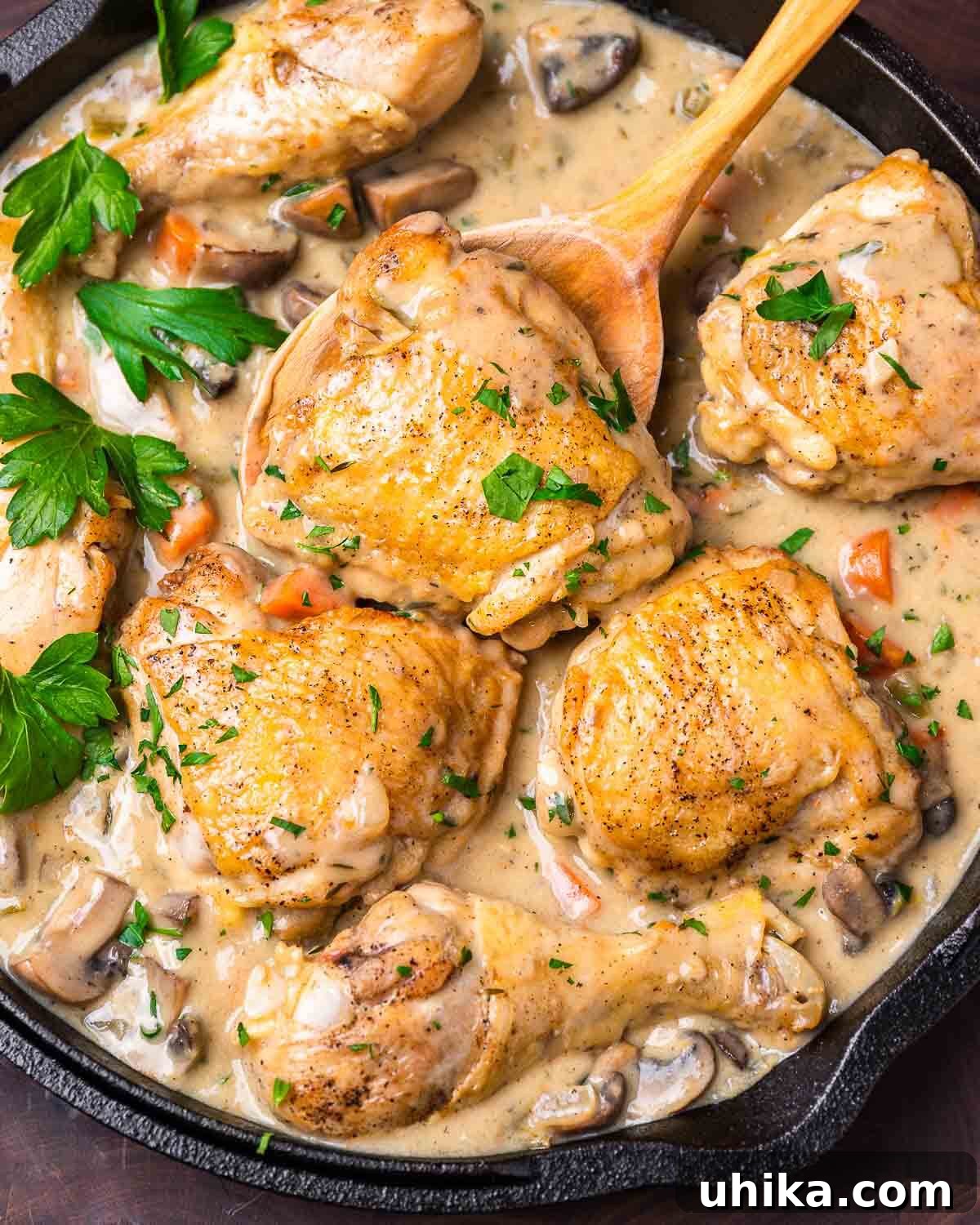 Velvety French Chicken Stew 2 Spoon holding chicken thigh in cream sauce. A close-up shot of a creamy chicken fricassee, highlighting the succulent chicken and the rich, smooth sauce.