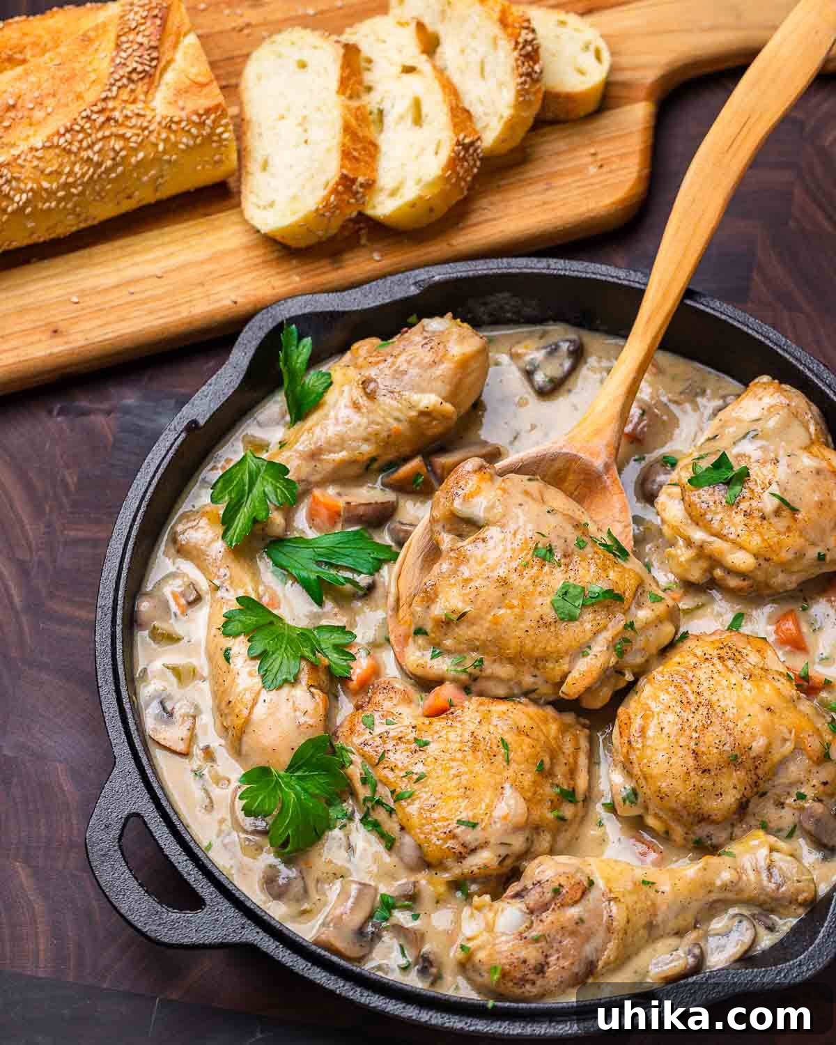 Velvety French Chicken Stew 7 Chicken fricassee in cast iron pan and loaf of cut Italian bread. A rustic presentation of chicken fricassee served in a cast iron pan with crusty bread.