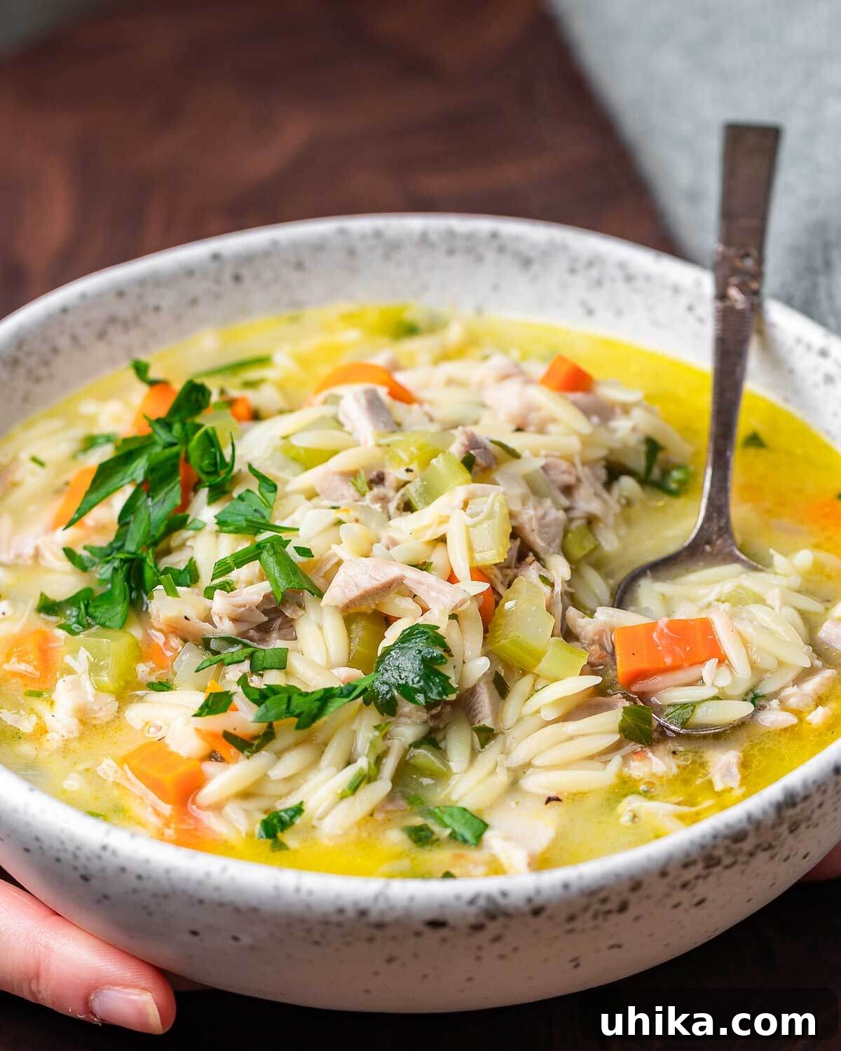 Bright Lemon Chicken Orzo Soup 2 Hands holding bowl of lemon chicken orzo soup.