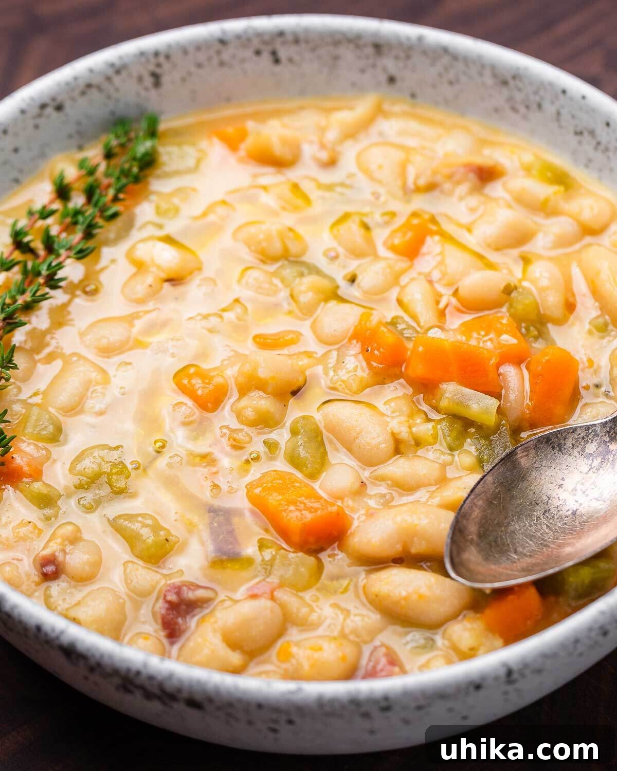Rustic Tuscan White Bean Soup 2 A steaming bowl of Tuscan white bean soup, garnished with fresh herbs and a drizzle of olive oil, ready to be enjoyed.