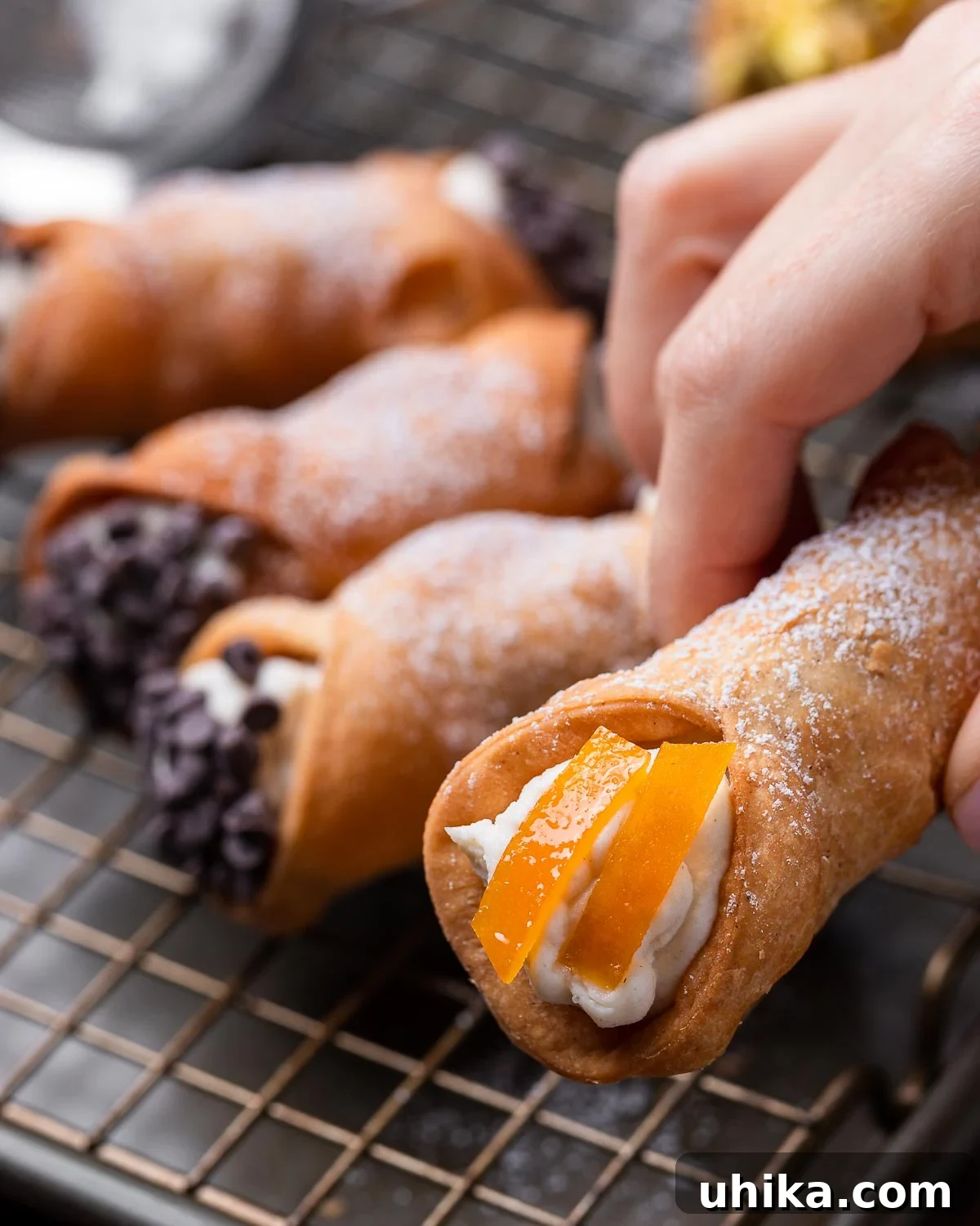 Cannoli Perfection 10 A hand gracefully holds a perfectly crafted cannoli, showcasing the delicate candied orange peel topping and the rich ricotta filling.