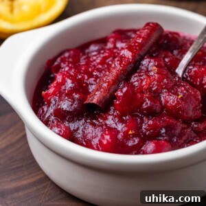 Ruby Red Cranberry Zing 7 Cranberry sauce recipe featured image.