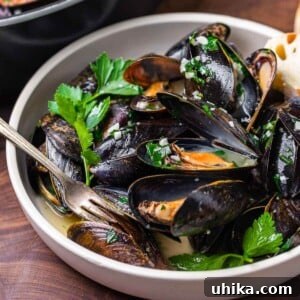 Mussels in white wine sauce featured image.
