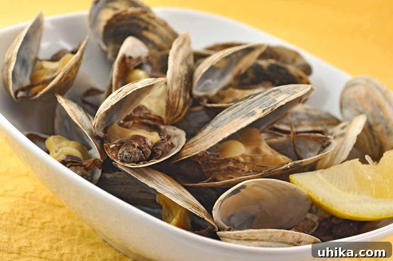 Classic New England Steamed Clams 2 Bowl of steamer clams with lemon wedge, highlighting the delicate texture and inviting presentation of fresh, New England-style seafood