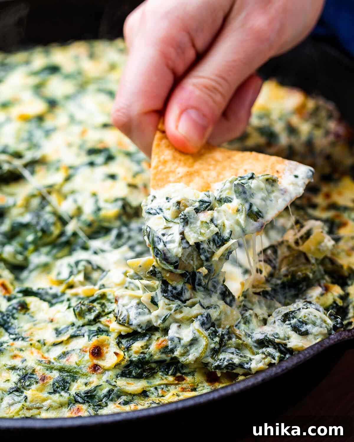 Irresistible Spinach Artichoke Dip 2 Hand holding a tortilla chip generously loaded with hot, creamy spinach artichoke dip, ready to be enjoyed.
