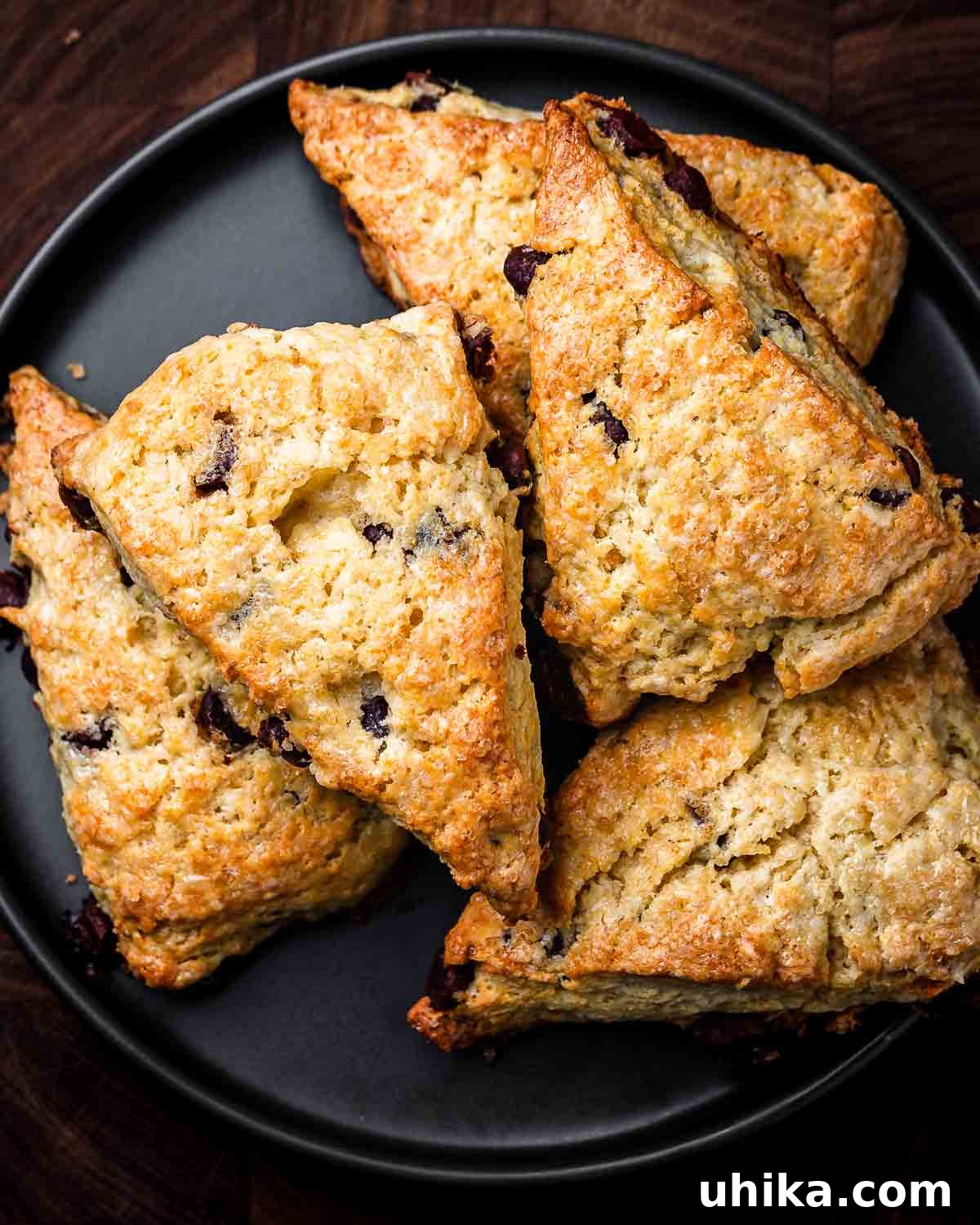 Decadent Chocolate Chip Scones 2 Overhead shot of black plate with chocolate chip scones, a perfect treat for any time of day.