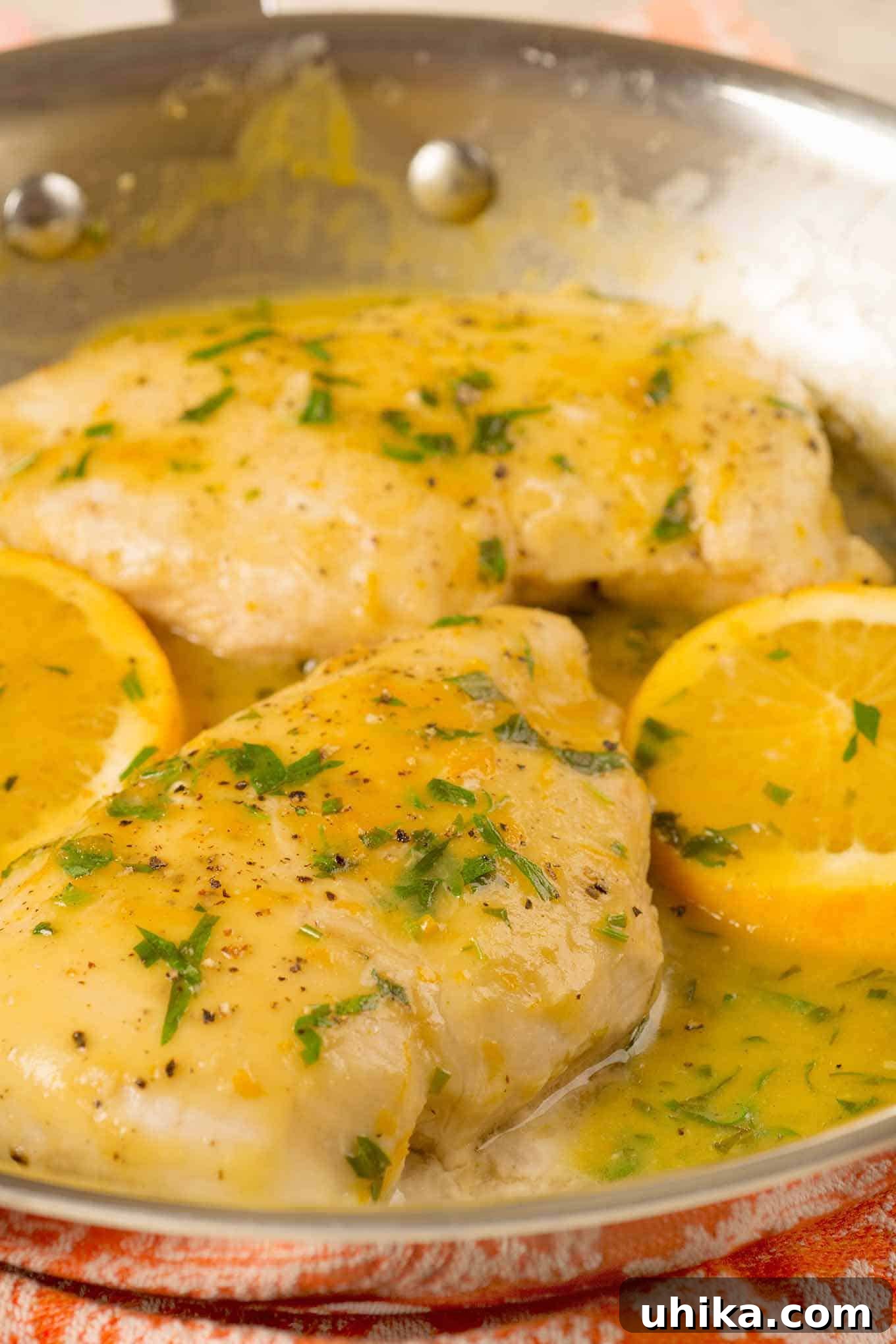 Sun-Kissed Tarragon Chicken 3 A close-up view of two succulent boneless chicken breasts resting in a stainless frying pan, surrounded by bright orange slices and a glistening pan sauce made with fresh oranges and aromatic tarragon.