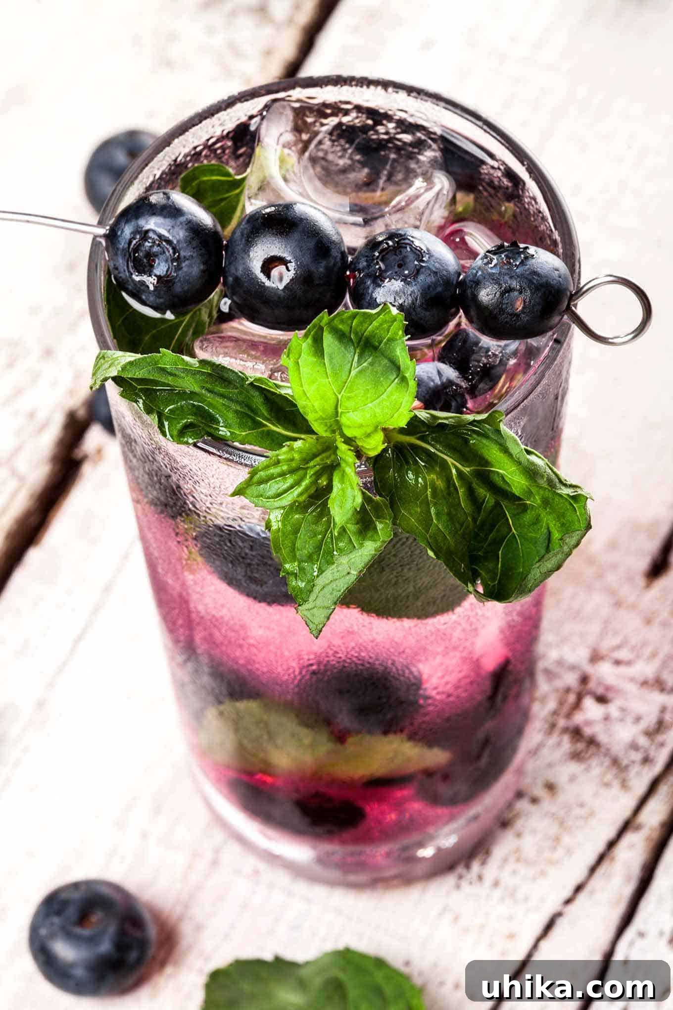 Vibrant Blueberry Basil Mojito 2 A highball glass filled with a blueberry mojito, muddled berries at the bottom, and a skewer of blueberries and mint sprig as garnish. A perfect summer cocktail.