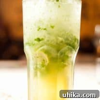 Southside Cocktail, a vibrant blend of mint, lemon, lime, and your choice of spirit, topped with soda.