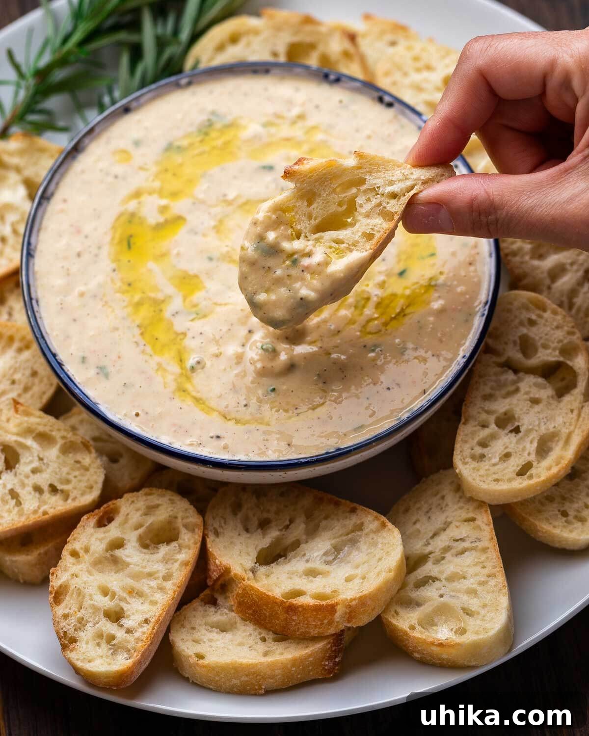 A hand dipping a piece of rustic bread into a bowl of homemade cannellini bean dip, highlighting its creamy texture and inviting appeal.