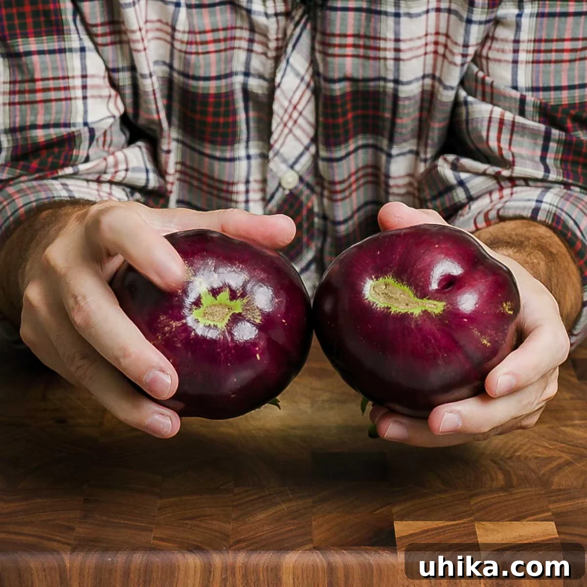 The Sip and Feast Podcast: Debunking Food Fables 2 Two hands holding eggplants, one distinctly rounder, illustrating the 'male' vs 'female' eggplant myth and encouraging readers to learn the truth.