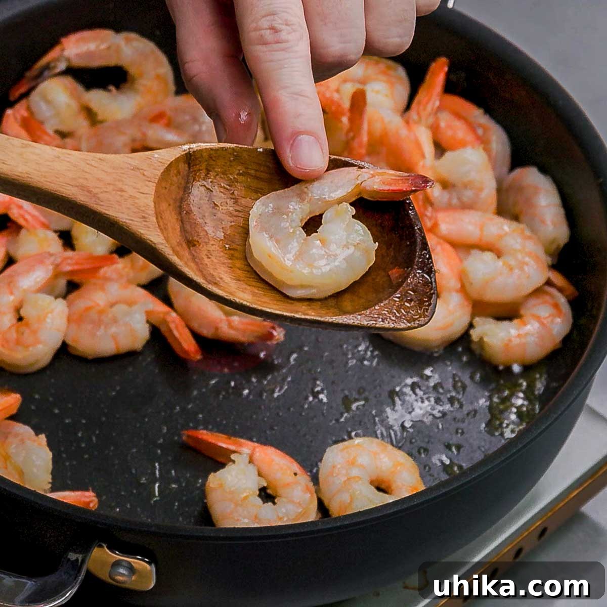 The Sip and Feast Podcast: Debunking Food Fables 3 Perfectly cooked shrimp curled into a gentle 'C' shape, resting on a spoon, symbolizing correct cooking technique.