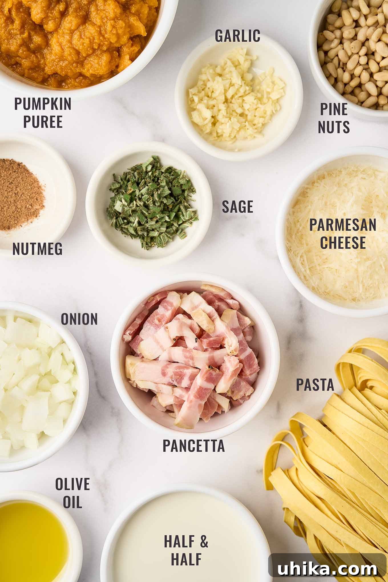 Golden Pumpkin Pasta with Crispy Pancetta and Creamy Parmesan 3 A labeled, overhead view of the ingredients for creamy pumpkin pasta; fettuccine, pumpkin puree, half & half, pancetta, olive oil, onion, nutmeg, sage, garlic, pine nuts, Parmesan.