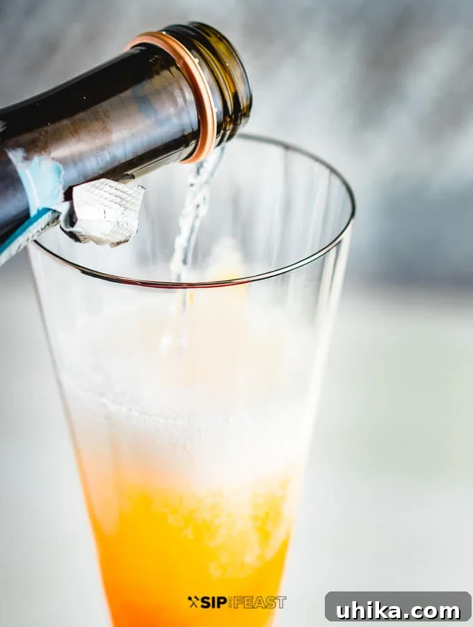 Pouring Prosecco for Bellini Elegant hand pouring sparkling Prosecco into a champagne flute, gently combining with the peach puree below to create a beautiful Bellini cocktail.