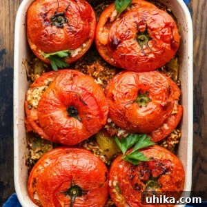 Sun-Drenched Roman Stuffed Tomatoes 7 Roman stuffed tomatoes in baking dish.