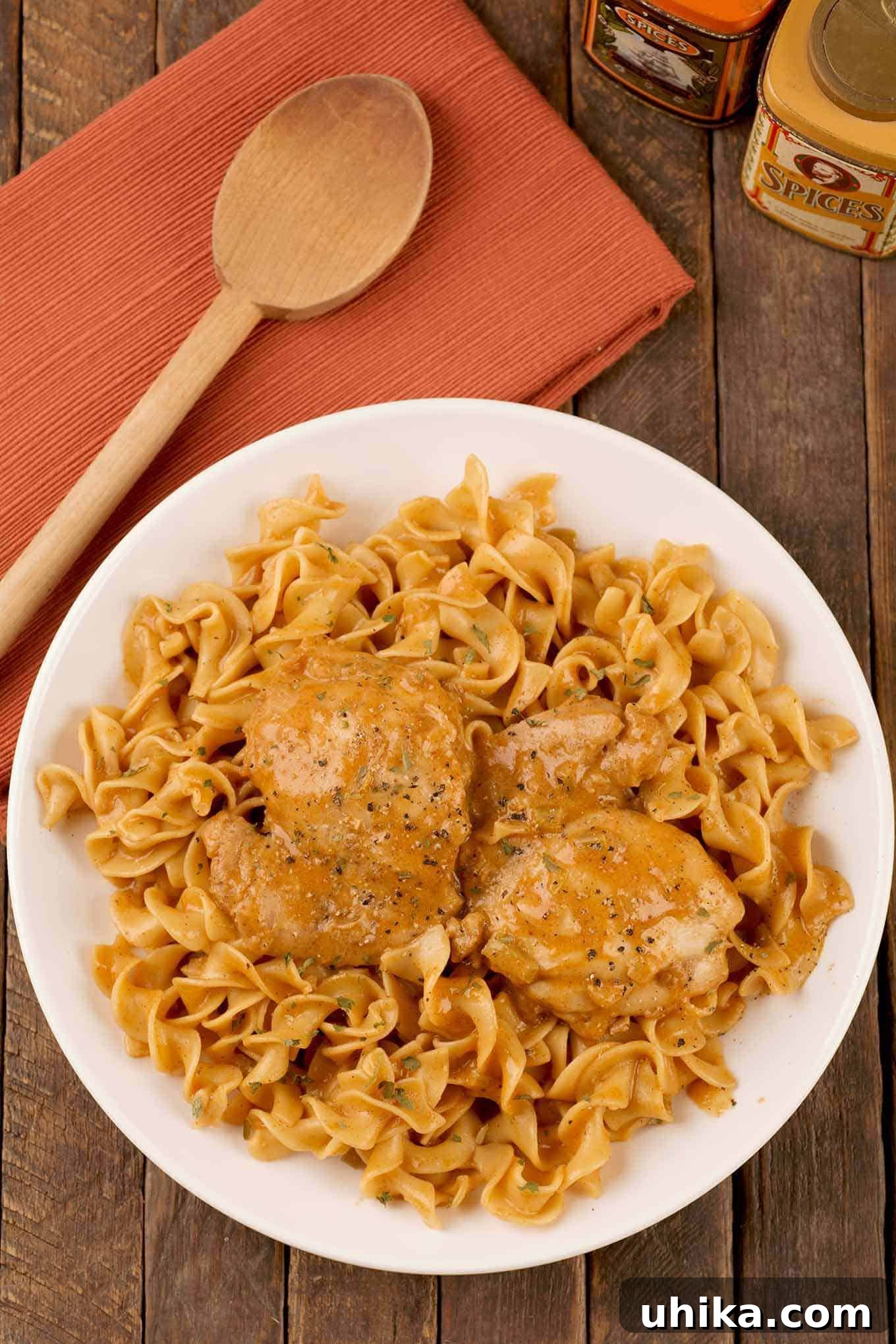 Creamy Instant Pot Chicken Paprikash 2 An overhead view of Instant Pot chicken paprikas showing boneless, skinless chicken thighs with sour cream and paprika atop of plate of egg noodles.