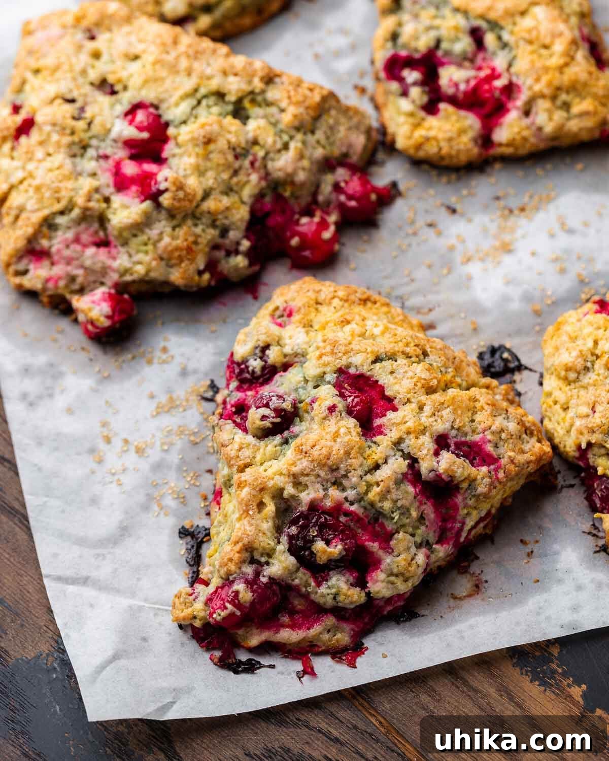 Cranberry orange scones on top of parchment paper.