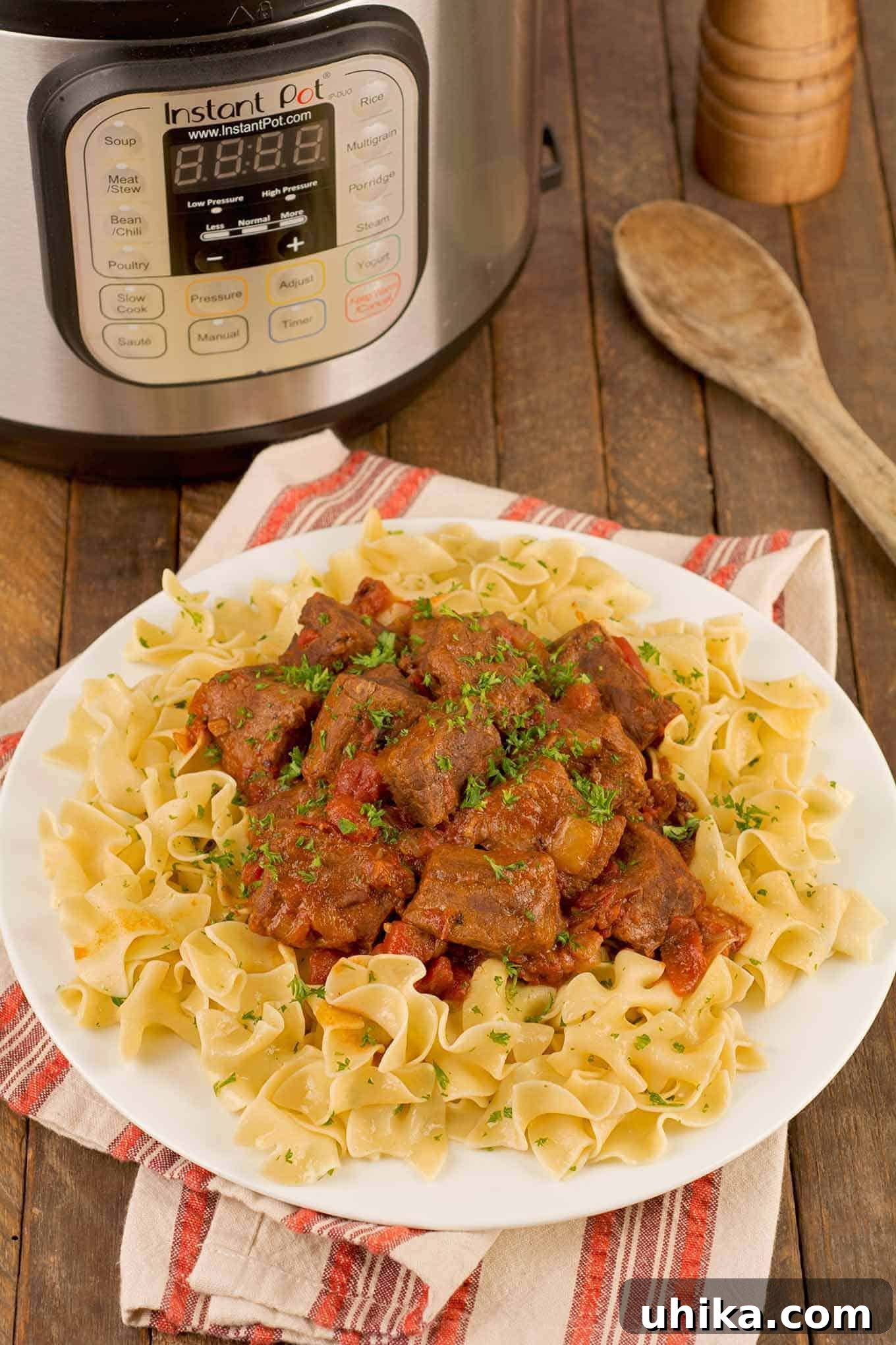 A platter of Hungarian beef goulash on a bed of wide egg noodles, with a wooden spoon and Instant Pot in the background.