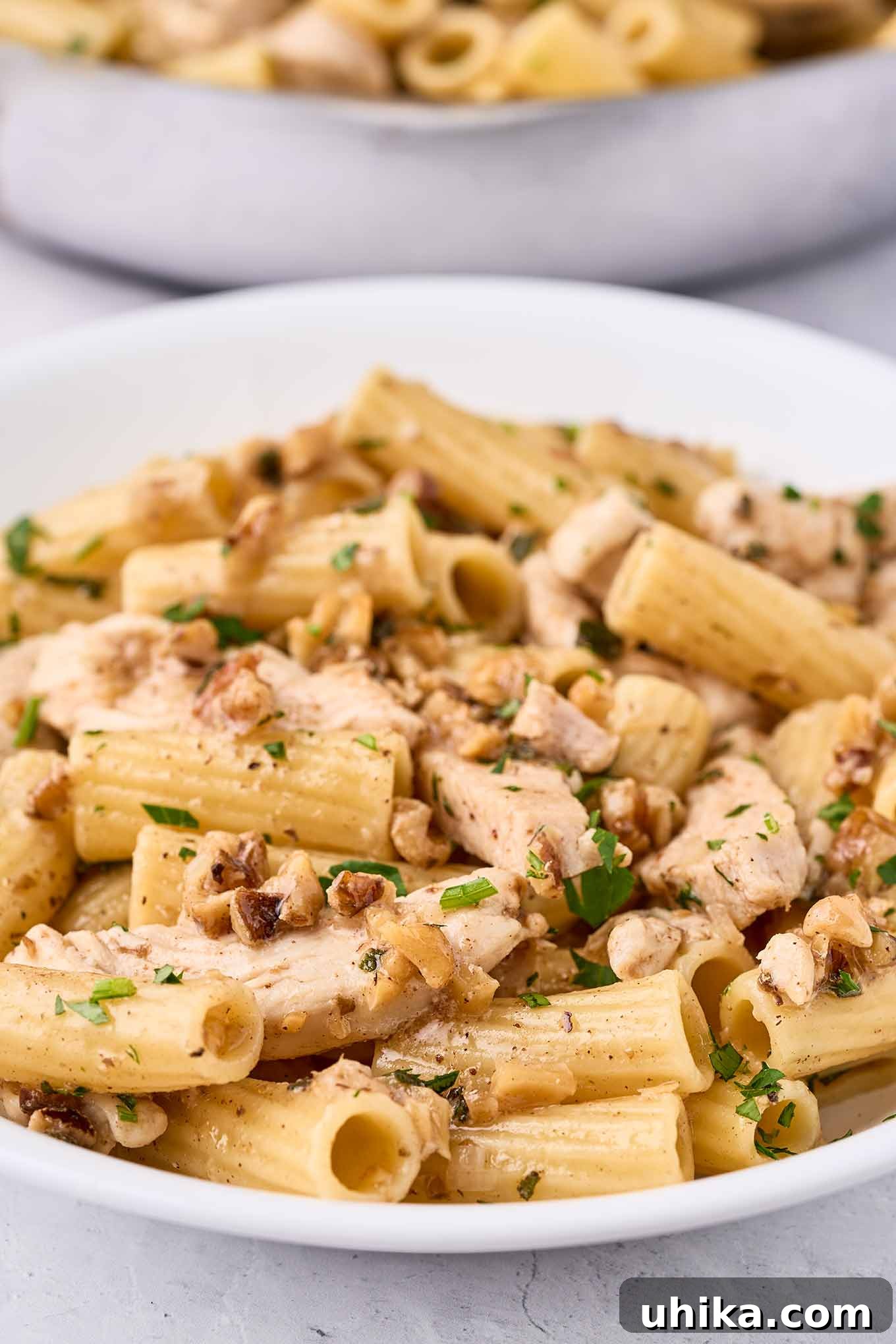 Nutty Brown Butter Chicken Pasta 4 A very close view of brown butter pasta with chicken, showing the walnuts, shallots, herbs, and a light coating of brown butter, ready to be served.
