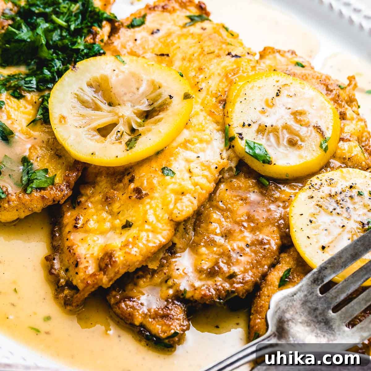 Podcast 21: Top Trader Joe's Fall Finds 5 Chicken Francese featured image.