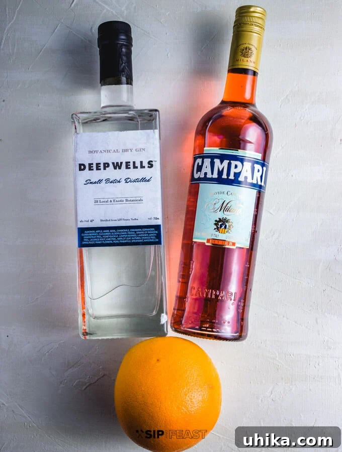 Grapefruit Gin Negroni Twist 3 A still life arrangement featuring a bottle of premium gin, a bottle of classic Campari, and a fresh grapefruit, illustrating the core ingredients for the cocktail.