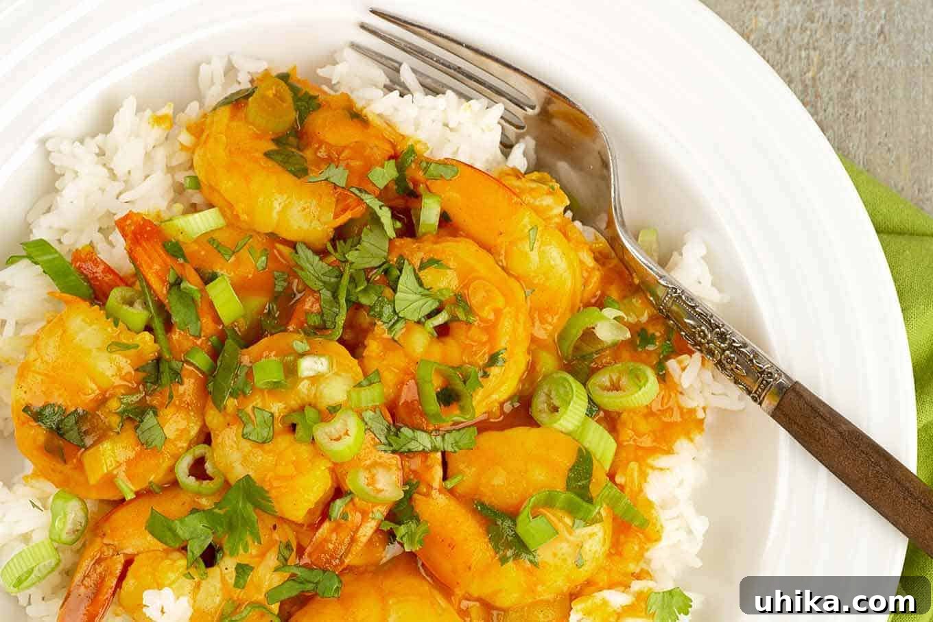 Creamy Coconut Curry Shrimp 3 A shallow bowl filled with steamed white rice topped with coconut curry shrimp and garnished with chopped scallions, and cilantro.