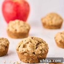 A single apple oatmeal muffin, showcasing its golden-brown top and hearty texture, ready to be enjoyed for breakfast or a snack.
