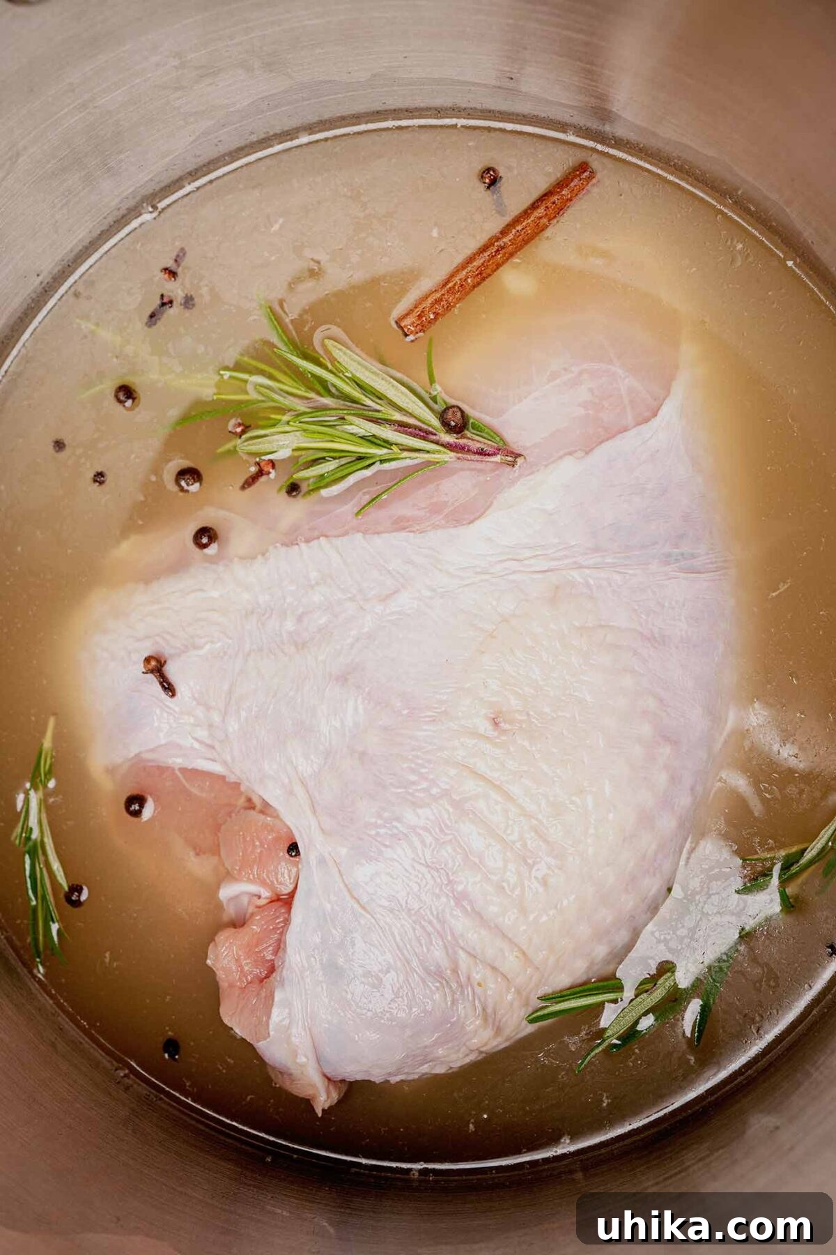 Sweet & Savory Apple Cider Turkey Breast 5 An overhead view of a fresh turkey breast submerged in apple cider brine in a large stainless steel stock pot.