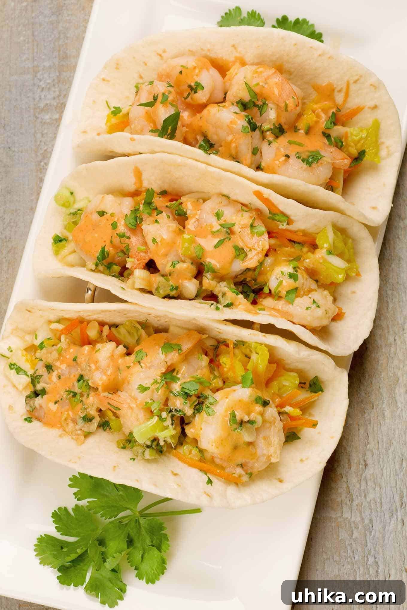 Asian Kick Shrimp Tacos 2 An overhead view of soft flour tortillas filled with crisp napa cabbage slaw, jumbo shrimp stir-fried with garlic and ginger, and a garnish of chopped cilantro. A perfect weeknight dinner idea.