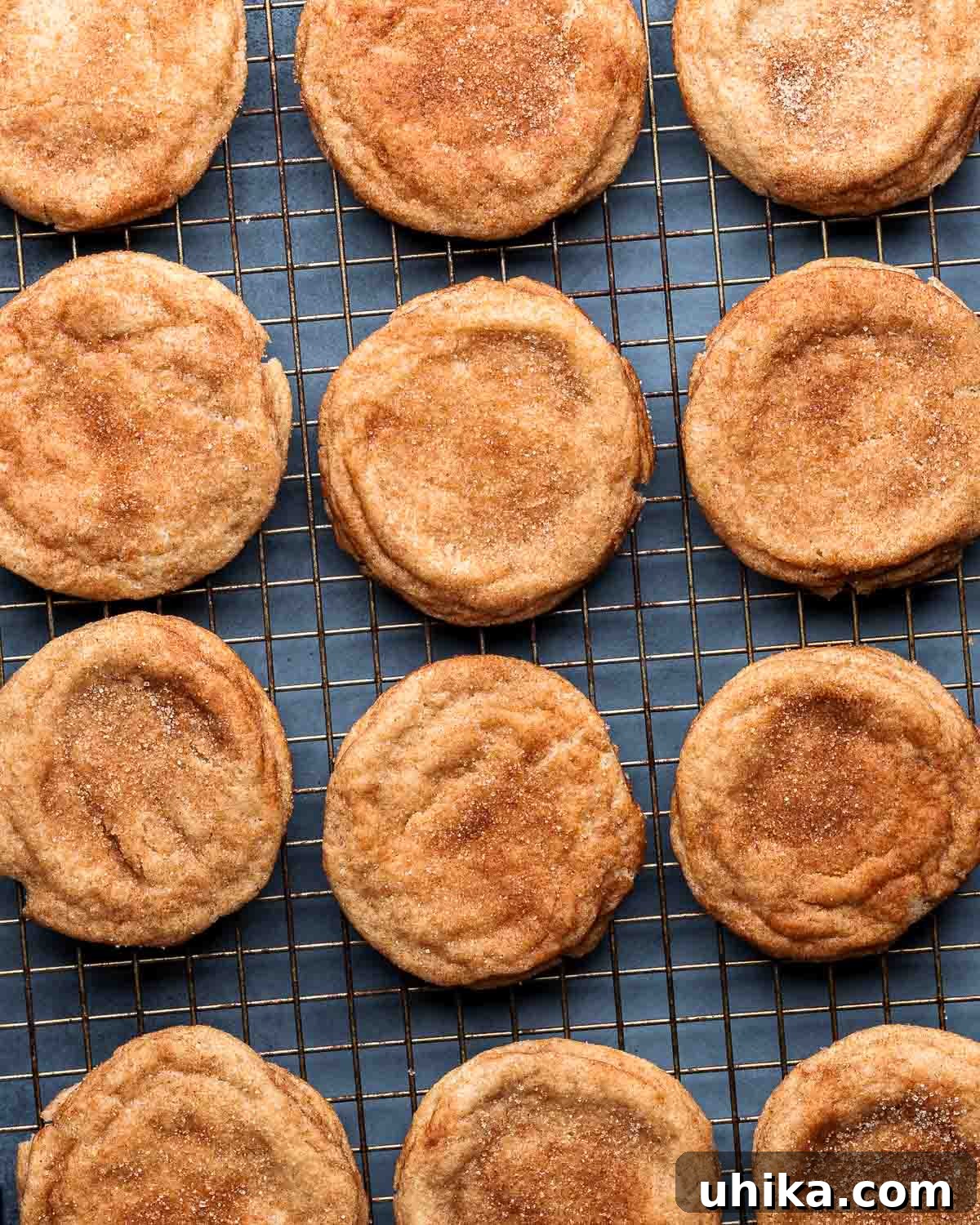 Melt In Your Mouth Fluffy Snickerdoodles 2 Many snickerdoodle cookies on wire rack.