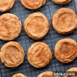 Snickerdoodle cookies on wire rack for featured image.