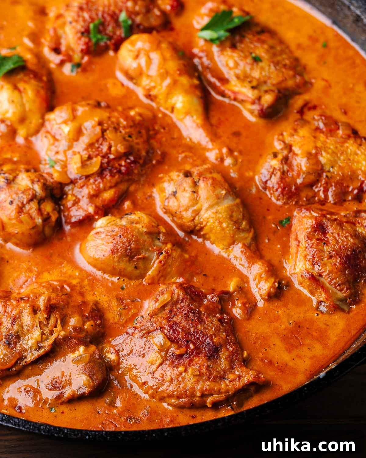 Hearty Paprikash Chicken with Cloud-Like Dumplings 9 Chicken paprikash in cast iron pan.