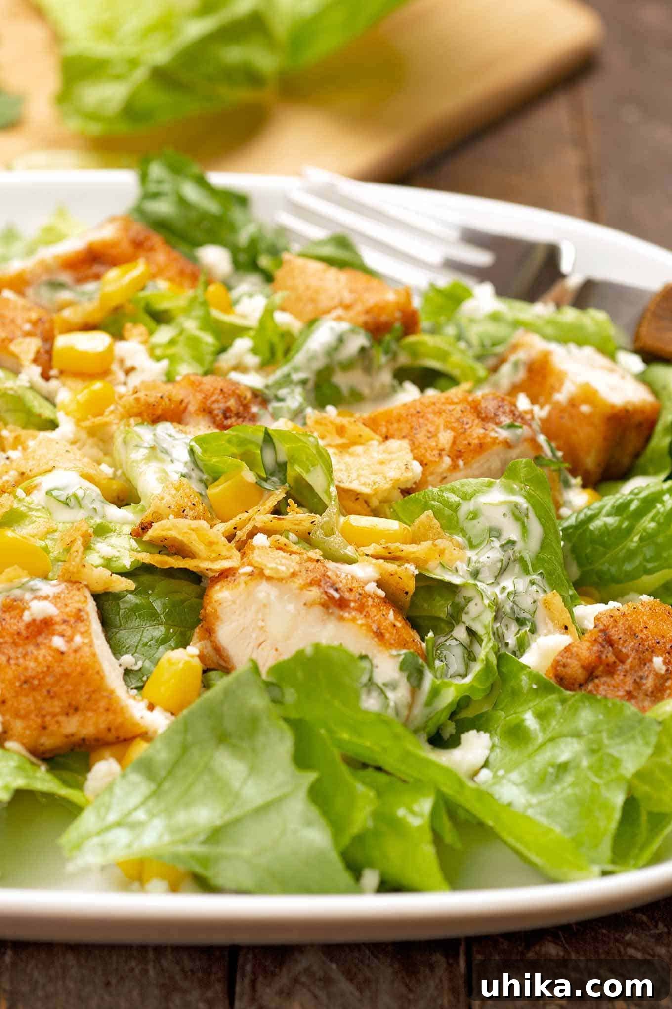 Chipotle Chicken Caesar 3 A beautifully plated serving of Mexican Chicken Caesar Salad, showcasing its vibrant layers of seasoned chicken, fresh corn, cotija-style cheese, and crispy tortilla chips, all drizzled with a creamy dressing.