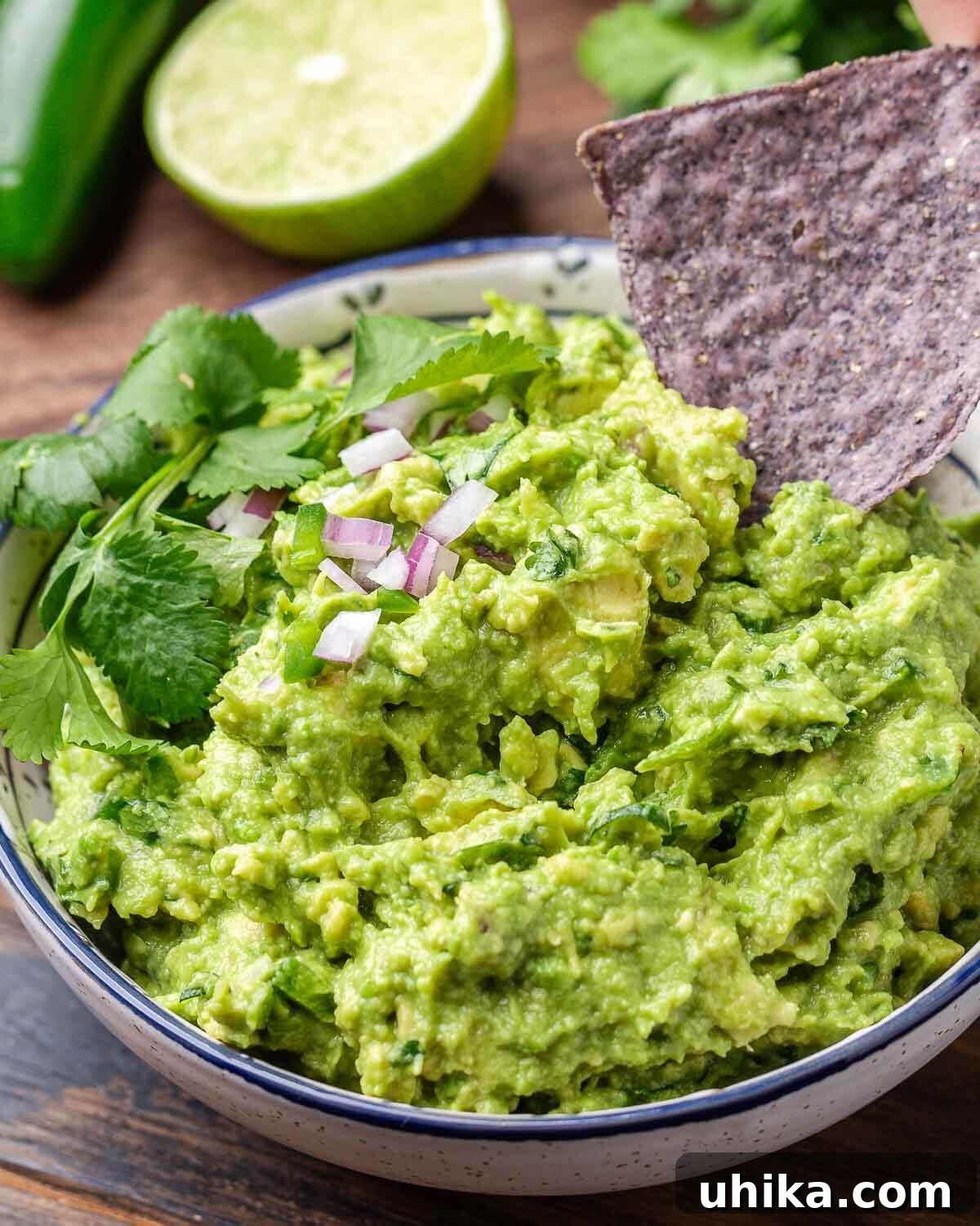 Guacamole Perfection 2 Blue corn chip dipped into bowl of guacamole.