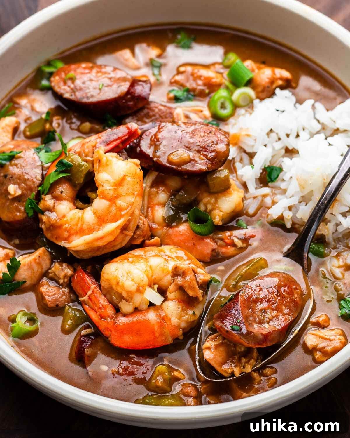 Spice of the Bayou 3 Bowl of chicken and sausage gumbo.