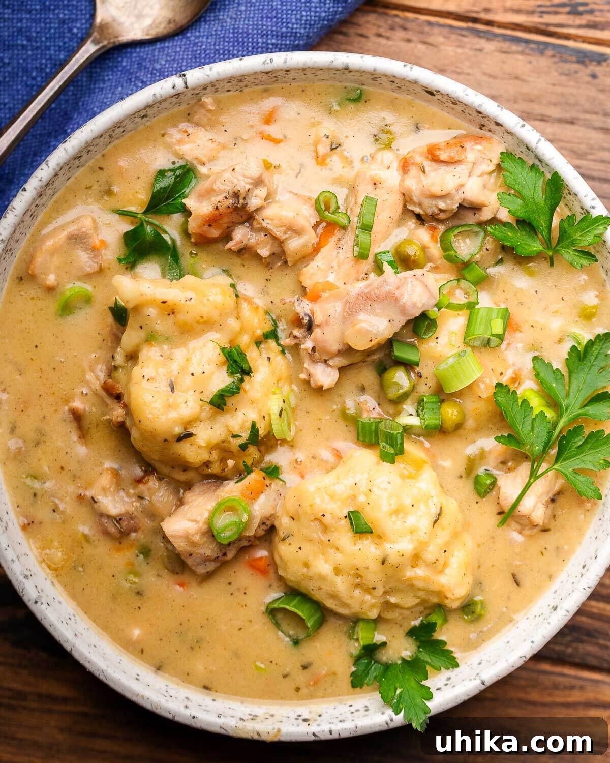 Hearty Homestyle Chicken and Dumplings 2 A steaming bowl of creamy homemade chicken and dumplings, garnished with fresh herbs, ready to be enjoyed.