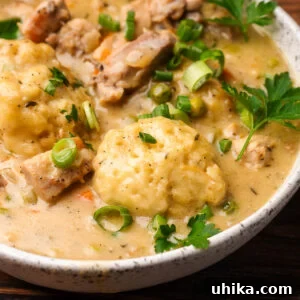 Chicken and dumplings in white bowl.