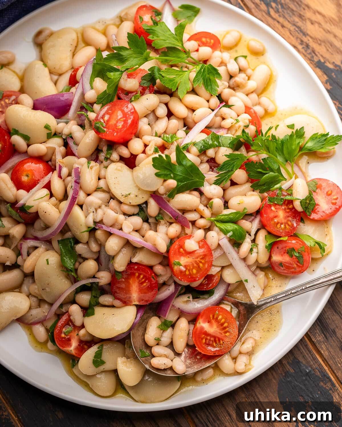 Rustic Italian White Bean Salad 2 A refreshing Italian white bean salad, generously piled on a pristine white platter, garnished with fresh herbs, ready to serve.