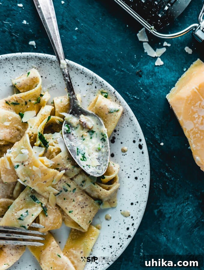 Overhead shot of plated walnut sauce pasta, garnished with herbs and cheese.