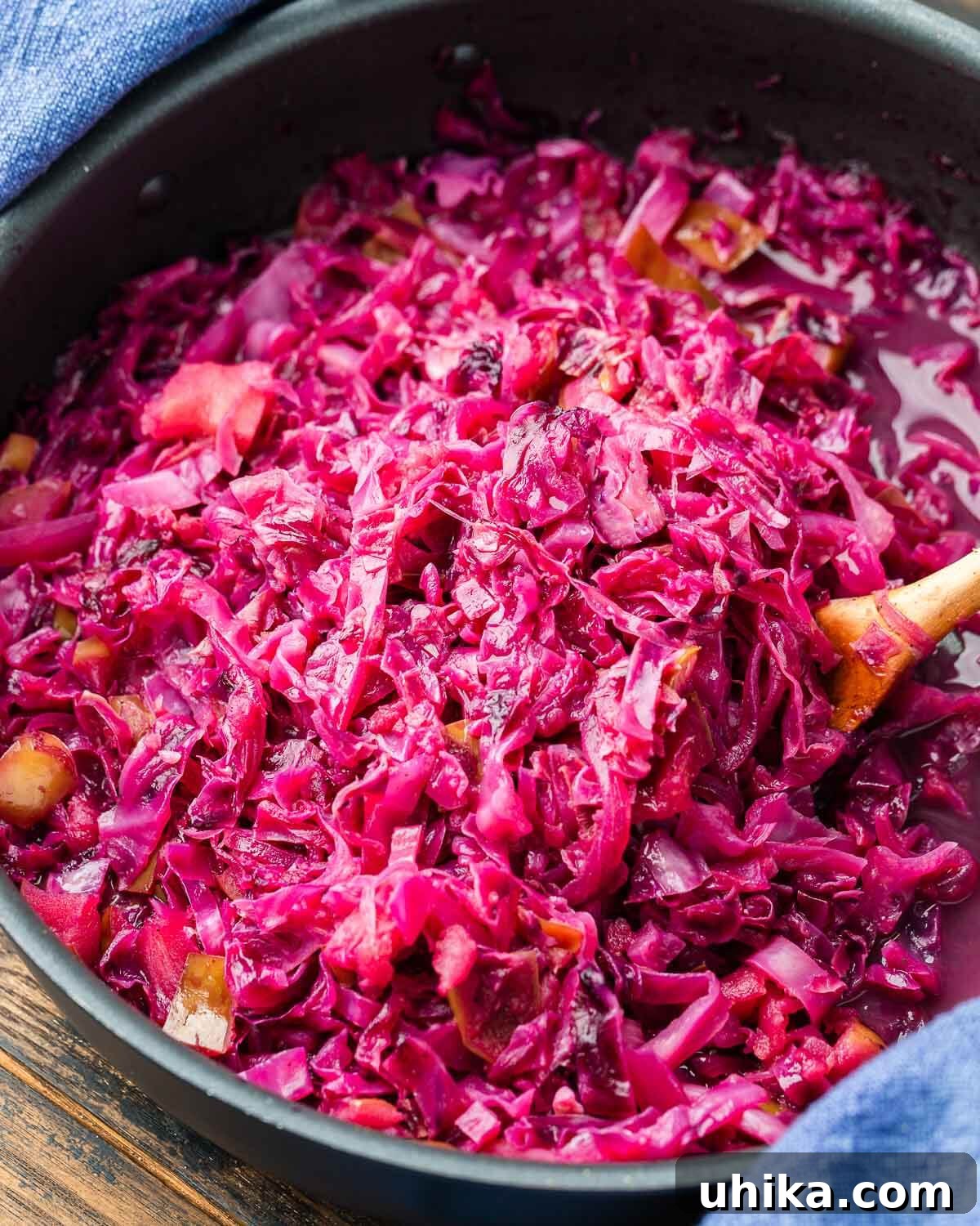 Classic German Red Cabbage 2 Large pot of cooked German red cabbage, ready to serve.