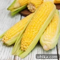 Three ears of fresh corn, partially cleaned and ready for cooking.